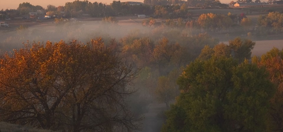 Morning Fog