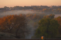 Morning Fog