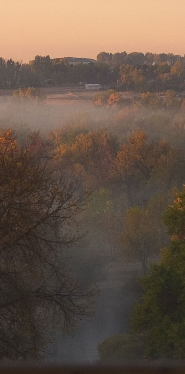 Morning Fog