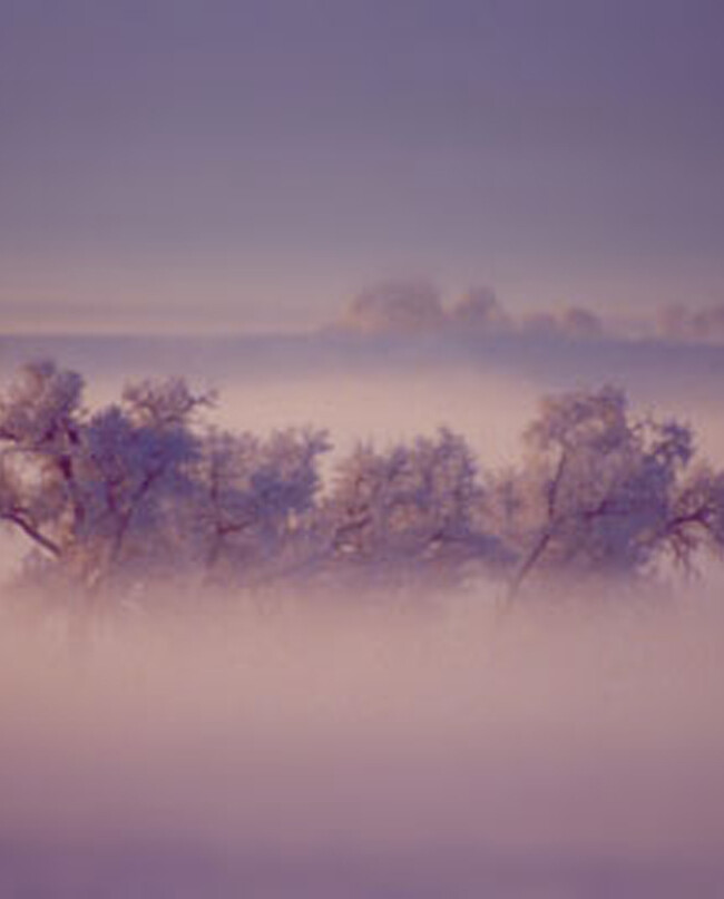 Foggy Sunrise