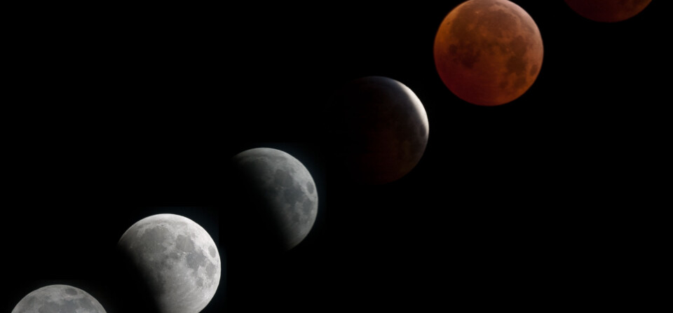 Lunar Eclipse Compilation