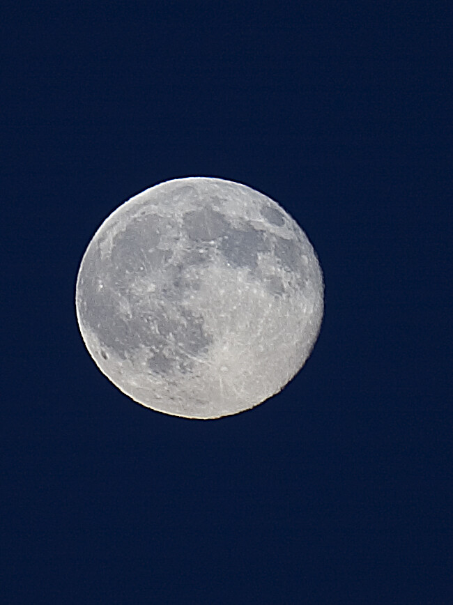 Moon